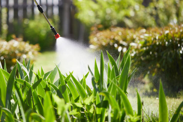 Tamper-Resistant Bait Stations for Rodents in Murray