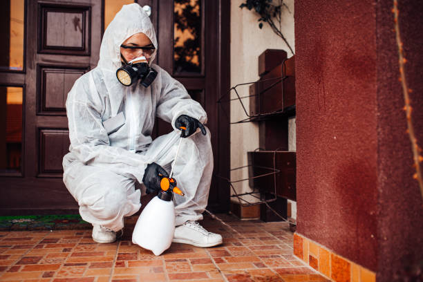 Attic and Crawl Space Rodent Treatment in Murray